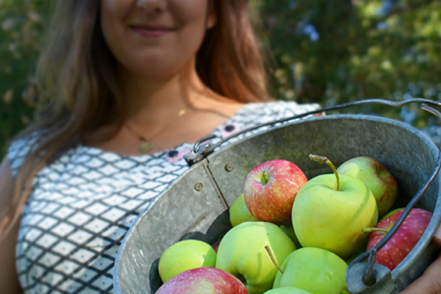 Urban Harvest