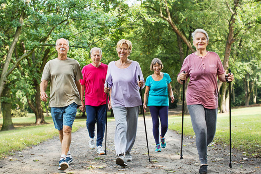 Seniors Daily Exercise