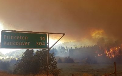 Psychological impact of natural disaster