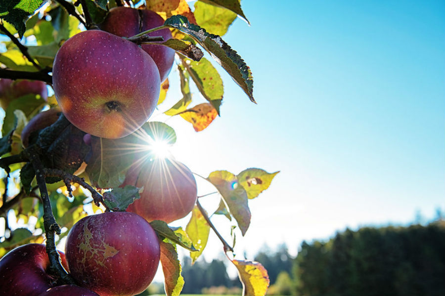 Healthy rural communities