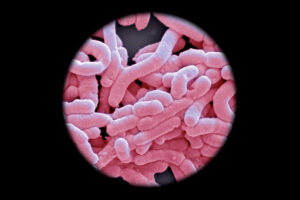 Innovative Gut Health