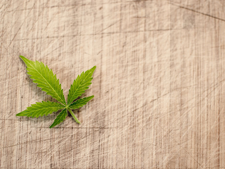 Curious about Cannabis